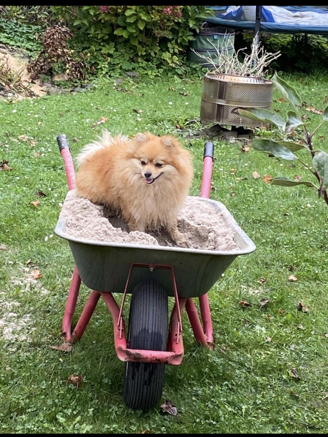 Wächter des Sandes!😍