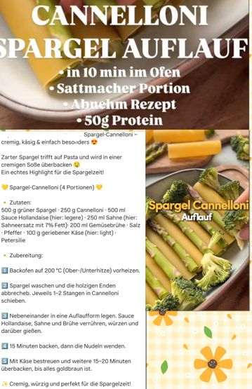 CANNELONI-SPARGEL-AUFLAUF