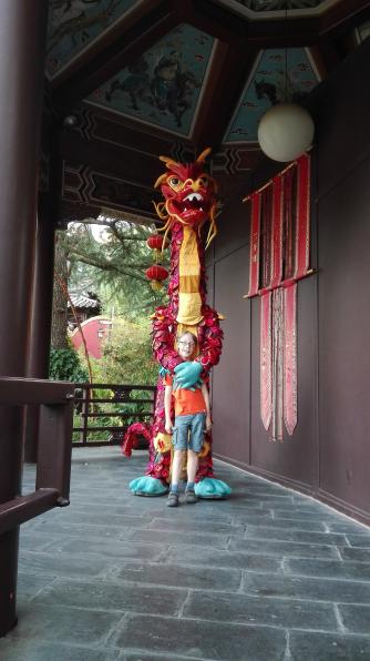 China-🐉