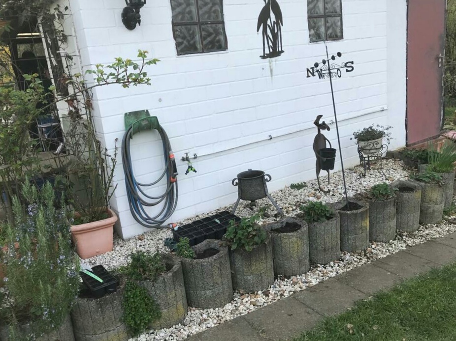 Ich war an den Hohlsteinen fleißig... vieles rausgerupft und Erdbeerpflanzen reingesetzt und Sonnenblumen eingesäht. Hinter den Steinen haben wir noch Kohlrabi und Mais in Töpfchen vorgesäht. 