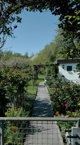 Gesamtblick vom Eingang aus! Unser Garten sieht schon einladender aus...