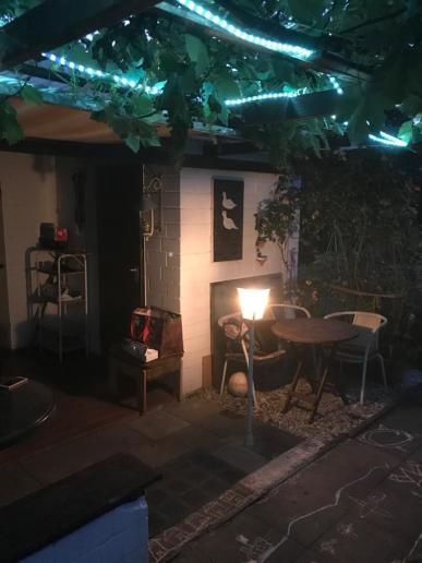 Garten by night... (23.06.2019)