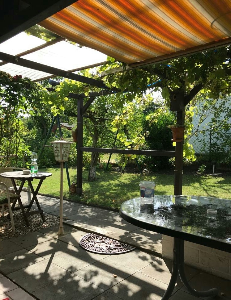 Guten-Morgen aus dem Garten! 20.07.2019