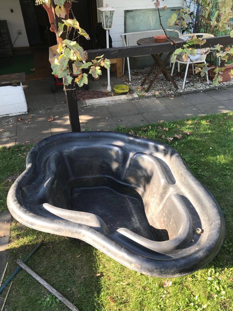 Noch eine Neuigkeit in dieser Woche. Wir haben einen Schnapper bei eBay-Kleinanzeigen geschossen - eine Teichwanne für einen 10er! 30.08.2019