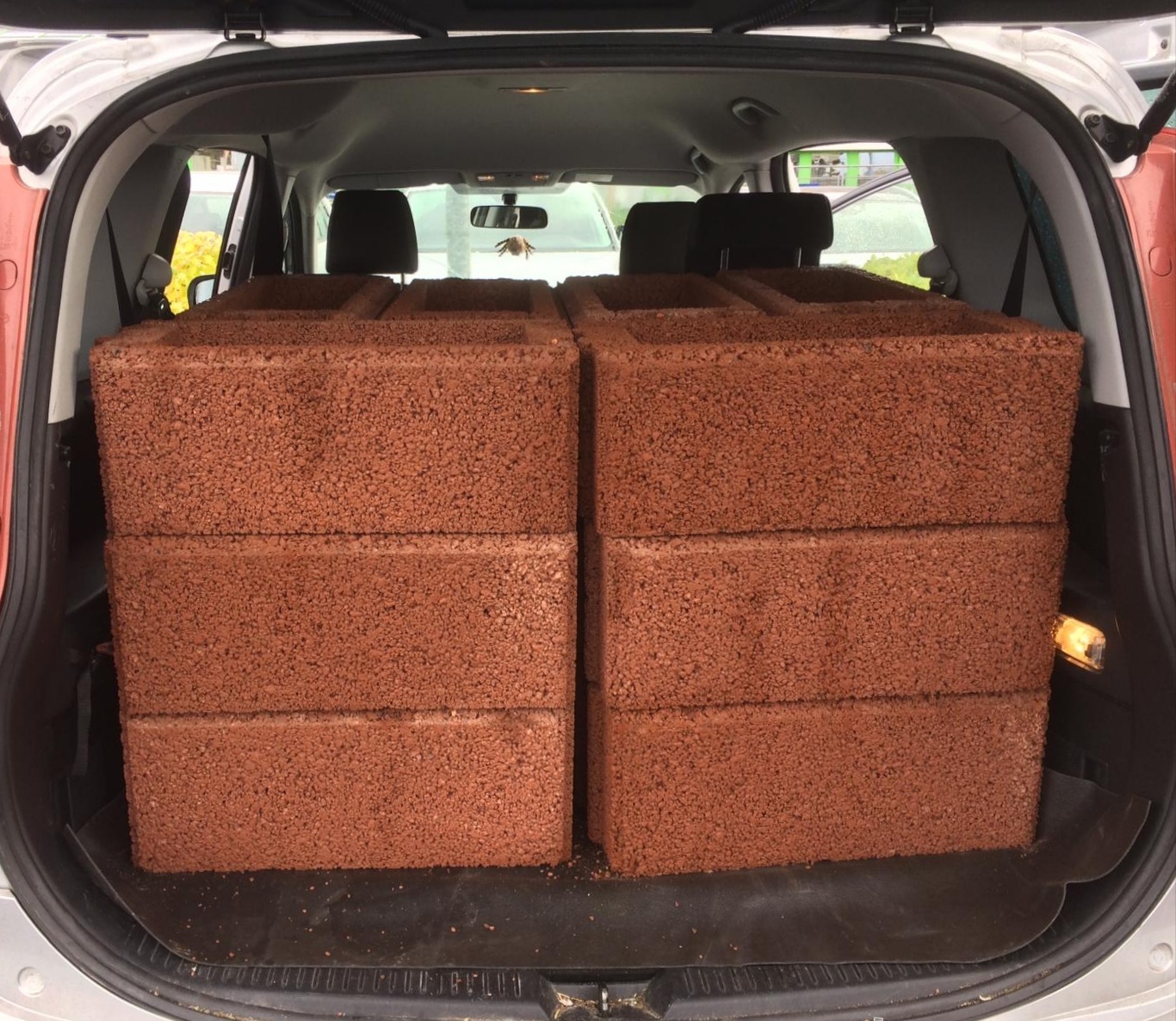 GARTENSTART 2020!!!  Projekt Hochbeet hat begonnen... 02.11.2019