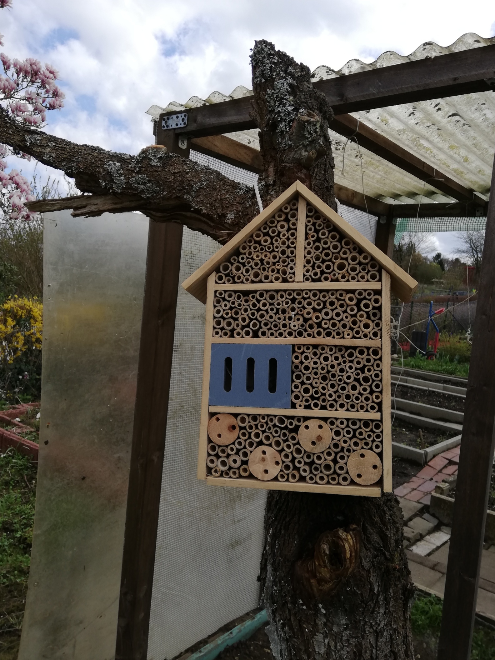 Insekten-/Bienenhotel geholt!