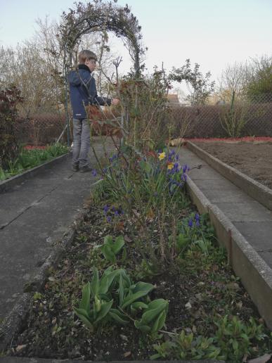 Es grünt so grüüün... es wird wieder alles grün in unserem Garten!