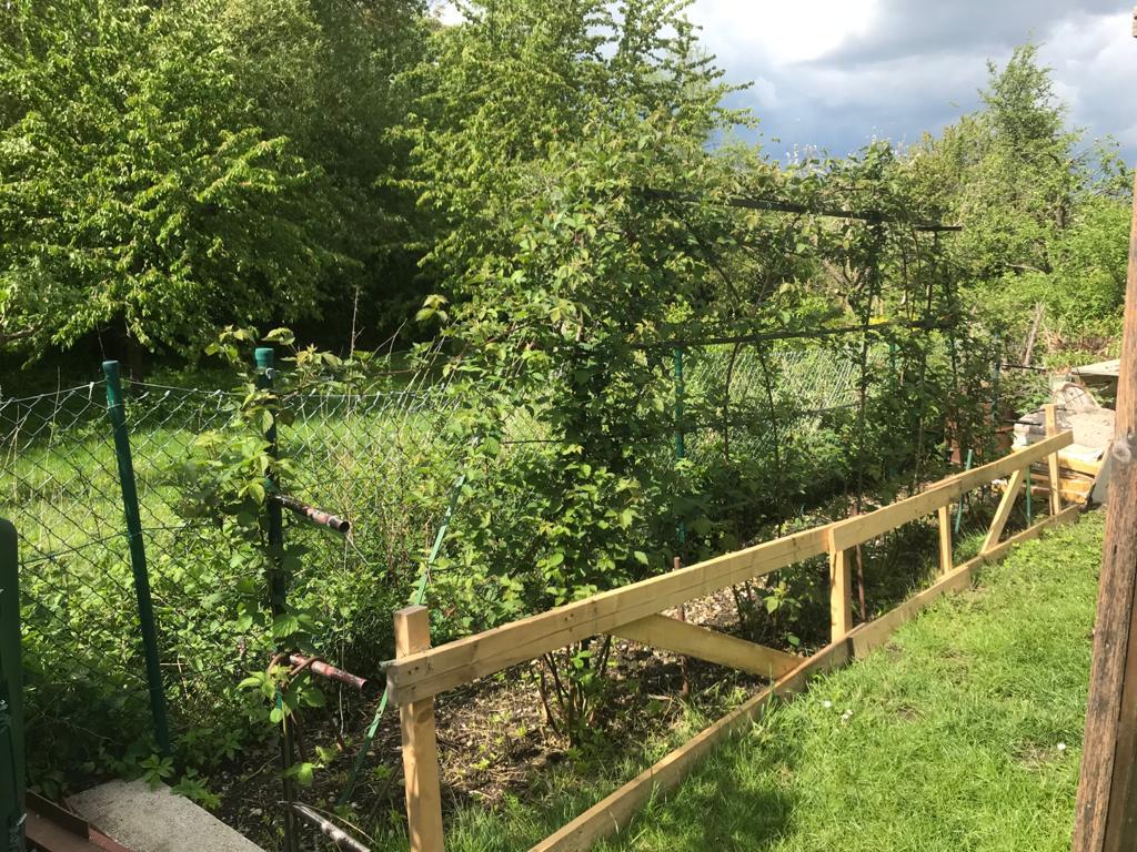 Verblendung vor dem Eisengestell der Brombeeren. (01.05.2020)