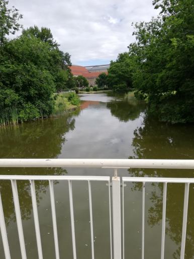 Direkt am Hotel ein schöner kleiner Park