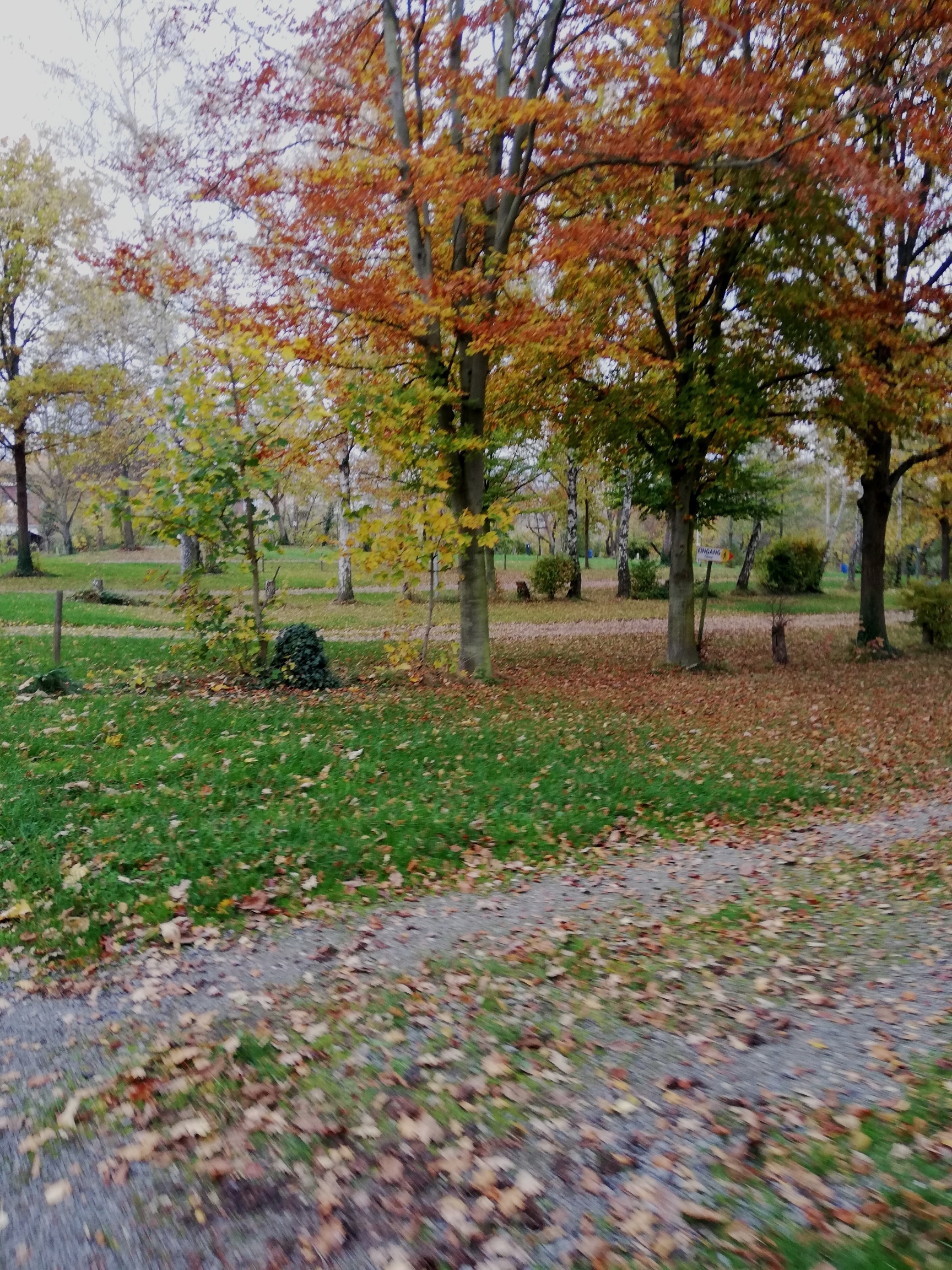 ... über den leeren Phantasialandparkplatz!
