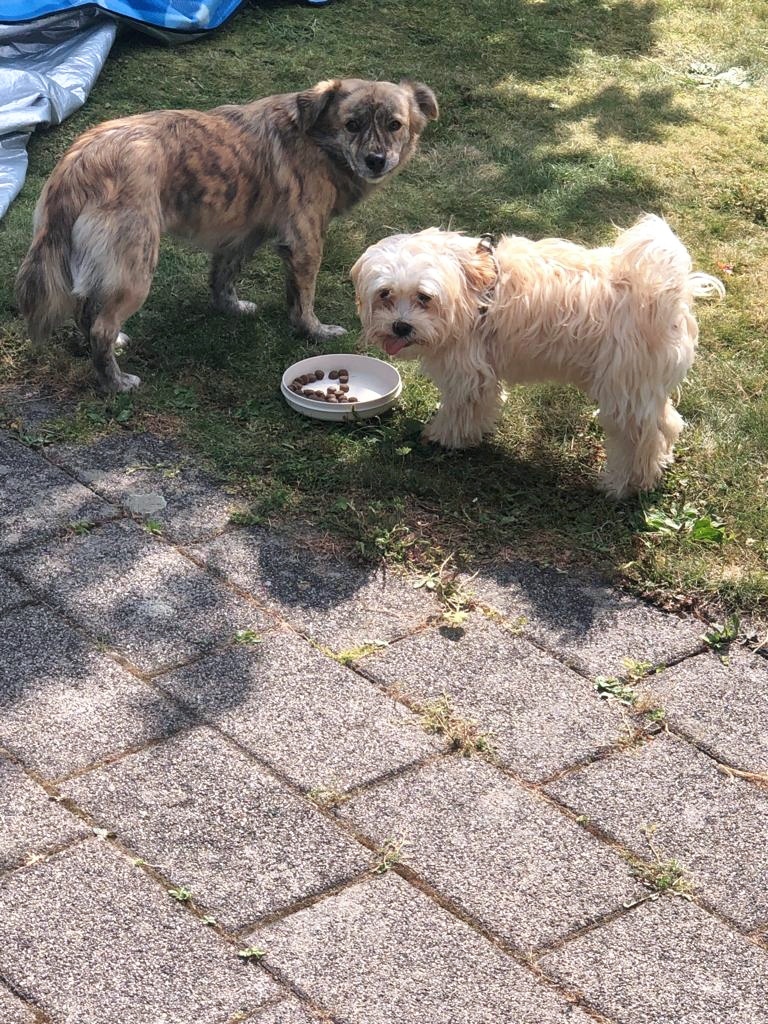 Krümel und seine Freundin Lea