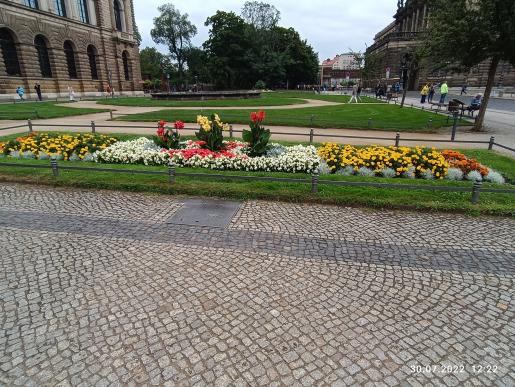 Blumen am Weg hinein