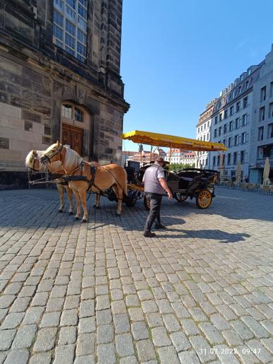 eine Möglichkeit sich fortzubewegen...