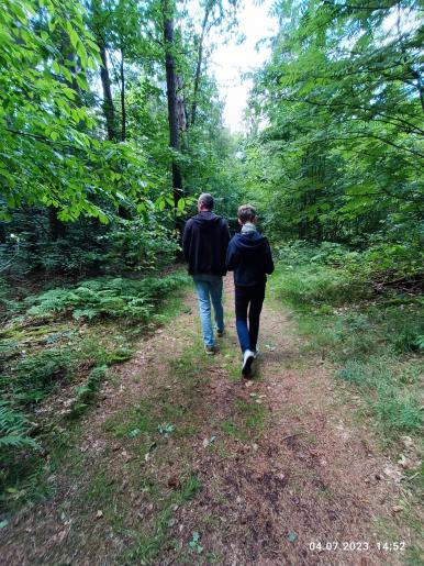 Kleiner Spaziergang in einem Wäldchen von Süderlügum