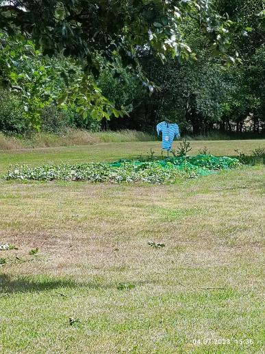 Sabine's Beet mitten auf der Wiese