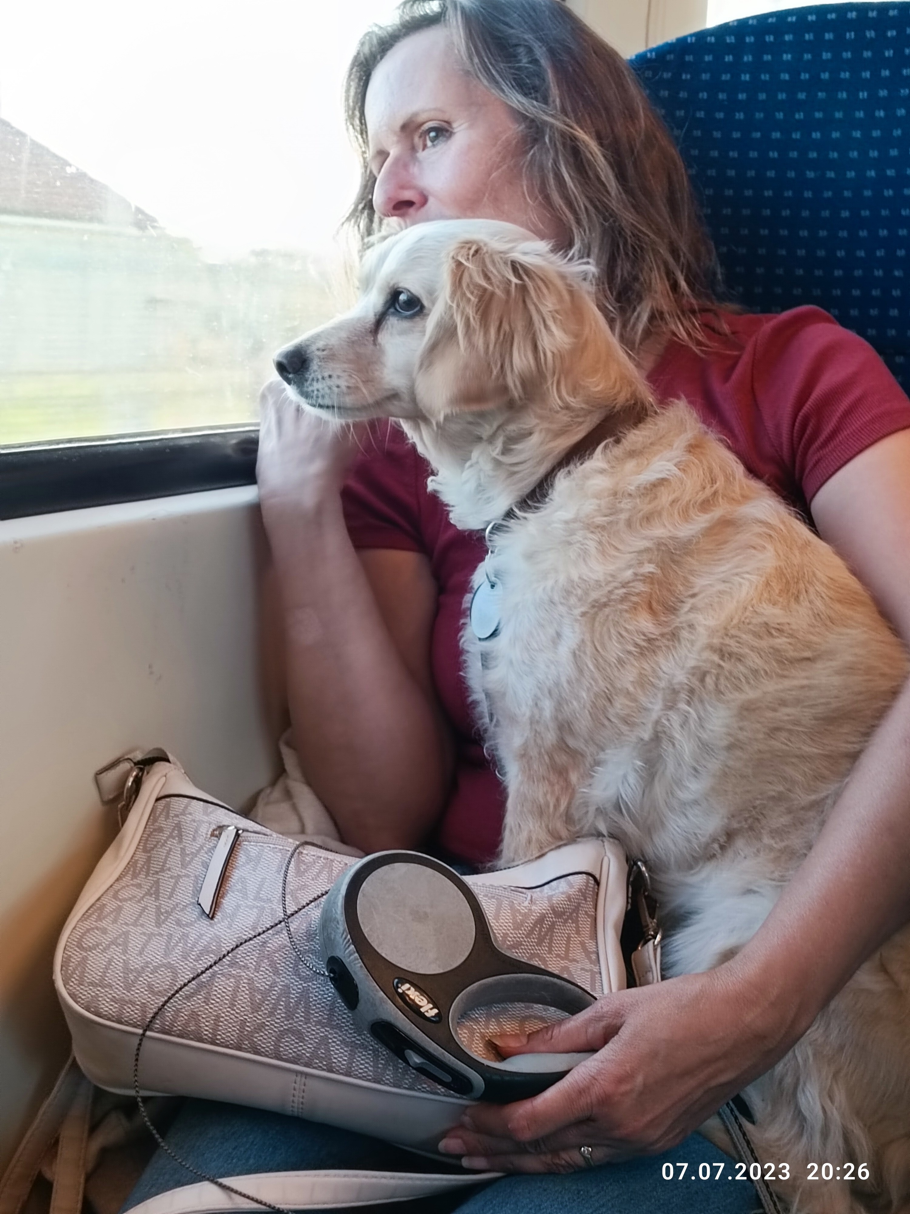 Gleich sind wir daheim... ganz sicher!
