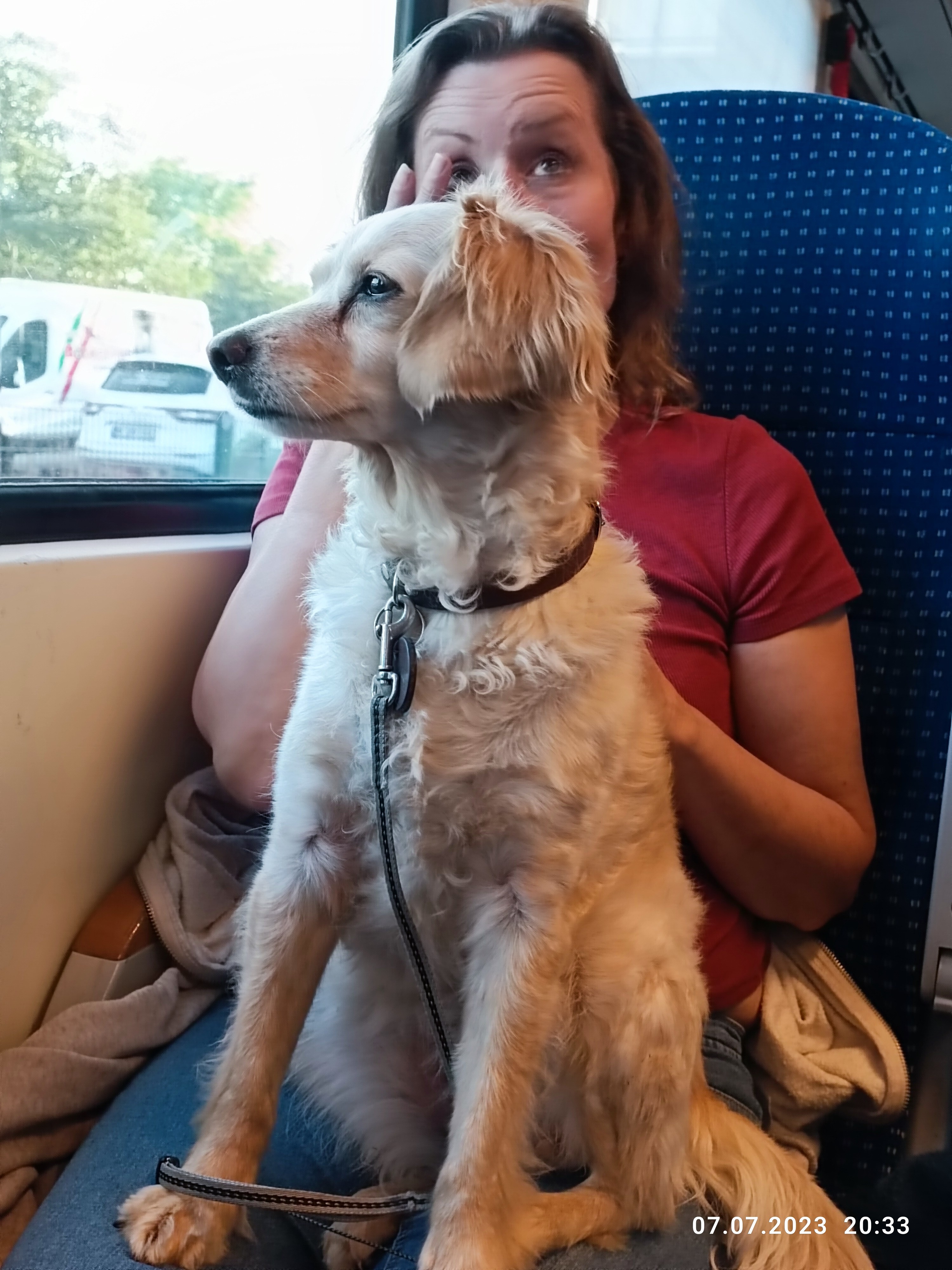 Es geht wieder nach Hause!