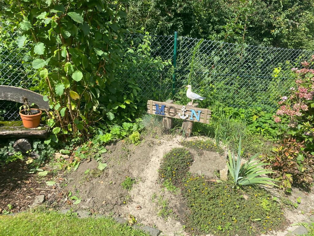 Heide wieder hergerichtet...😍