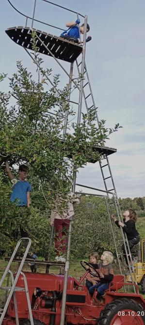 Kids in den Bäumen