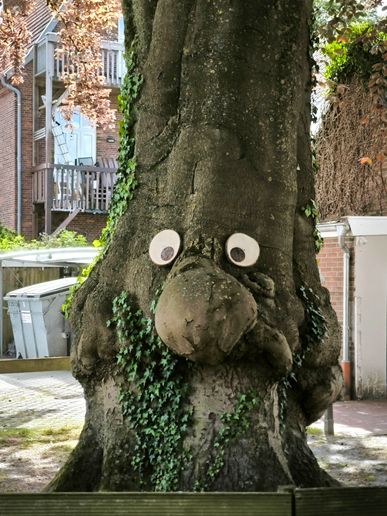 ...aber er mochte nicht in unseren Garten umziehen.😔
