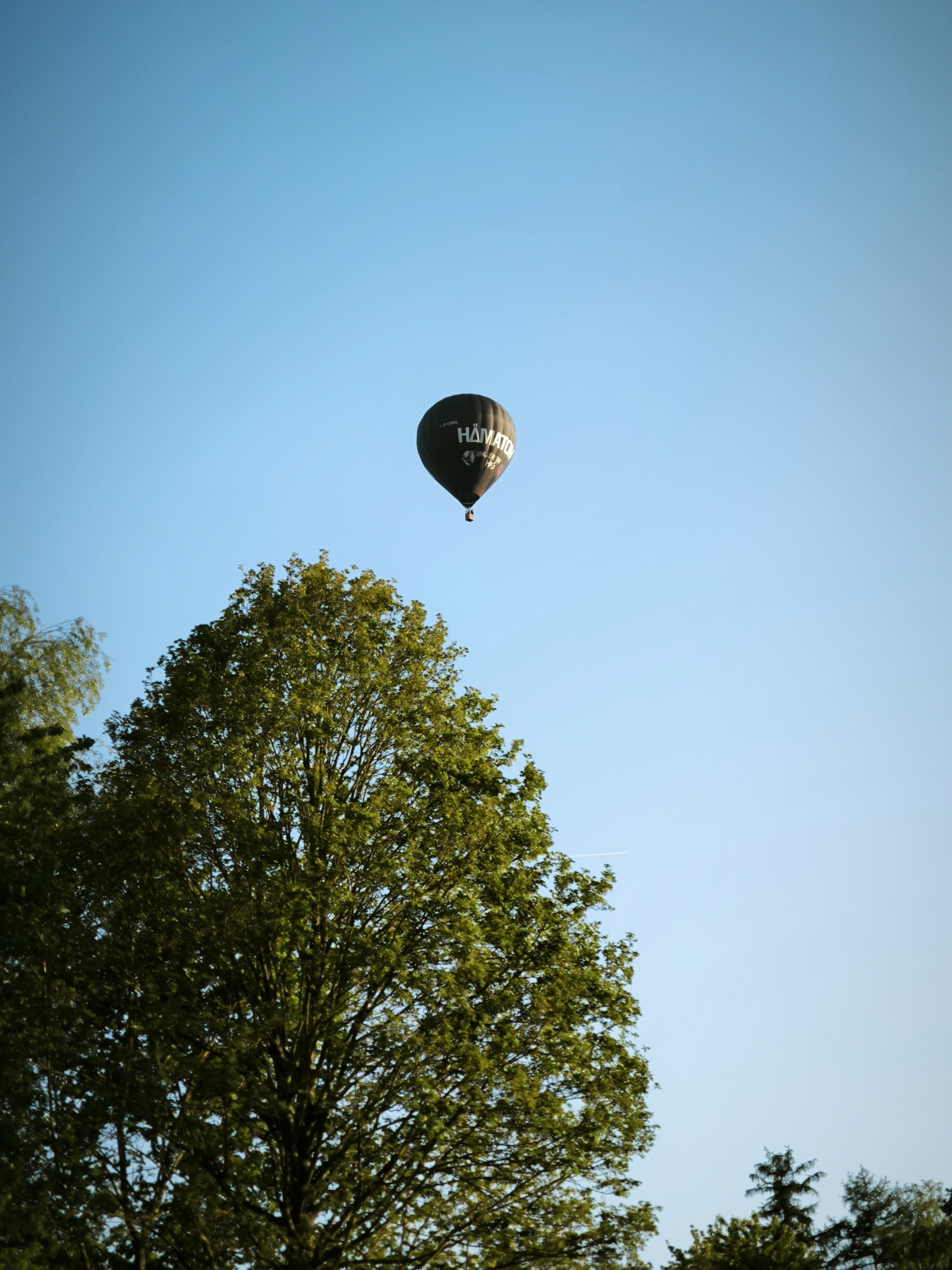 Heißluftballon über der Kleingartenanlage gesichtet