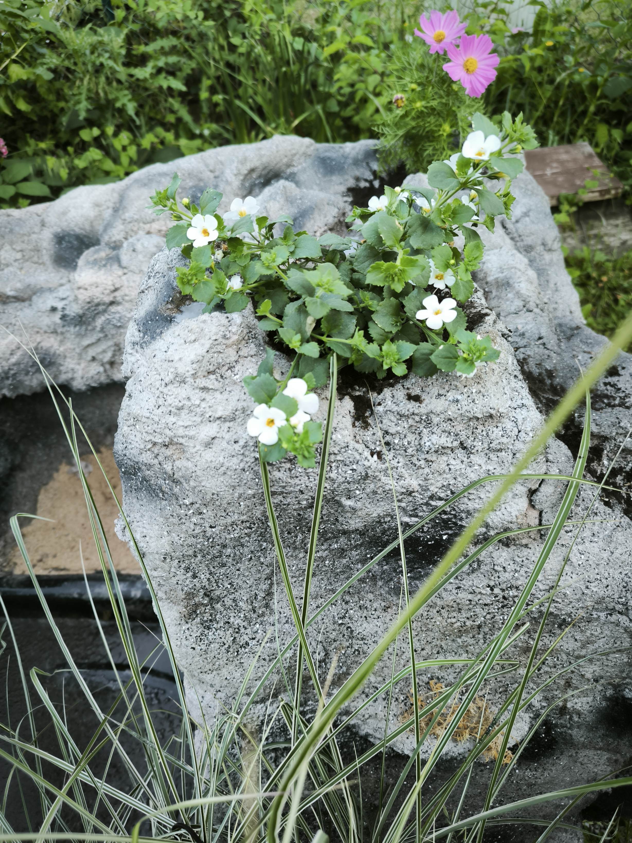Mit Blümchen geschmückt