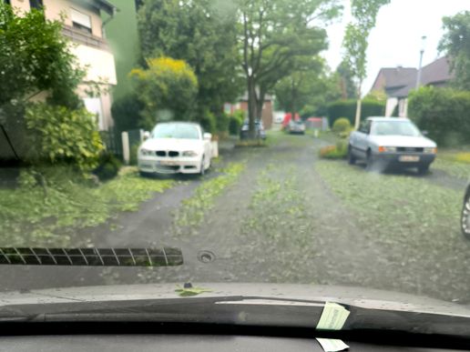 Die Straße zum Garten...