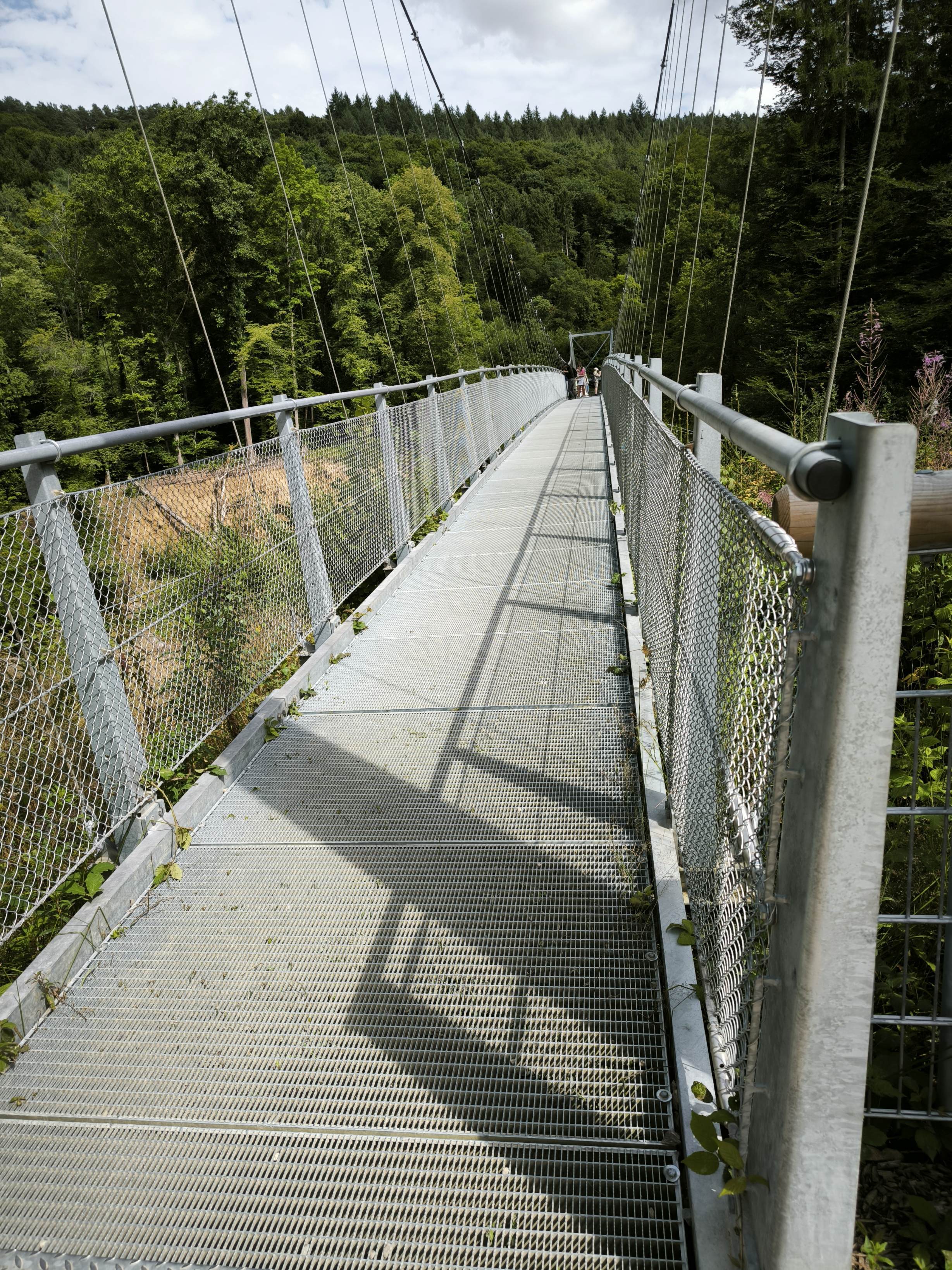 Die Hängebrücke - Nähe der Teufelsschlucht