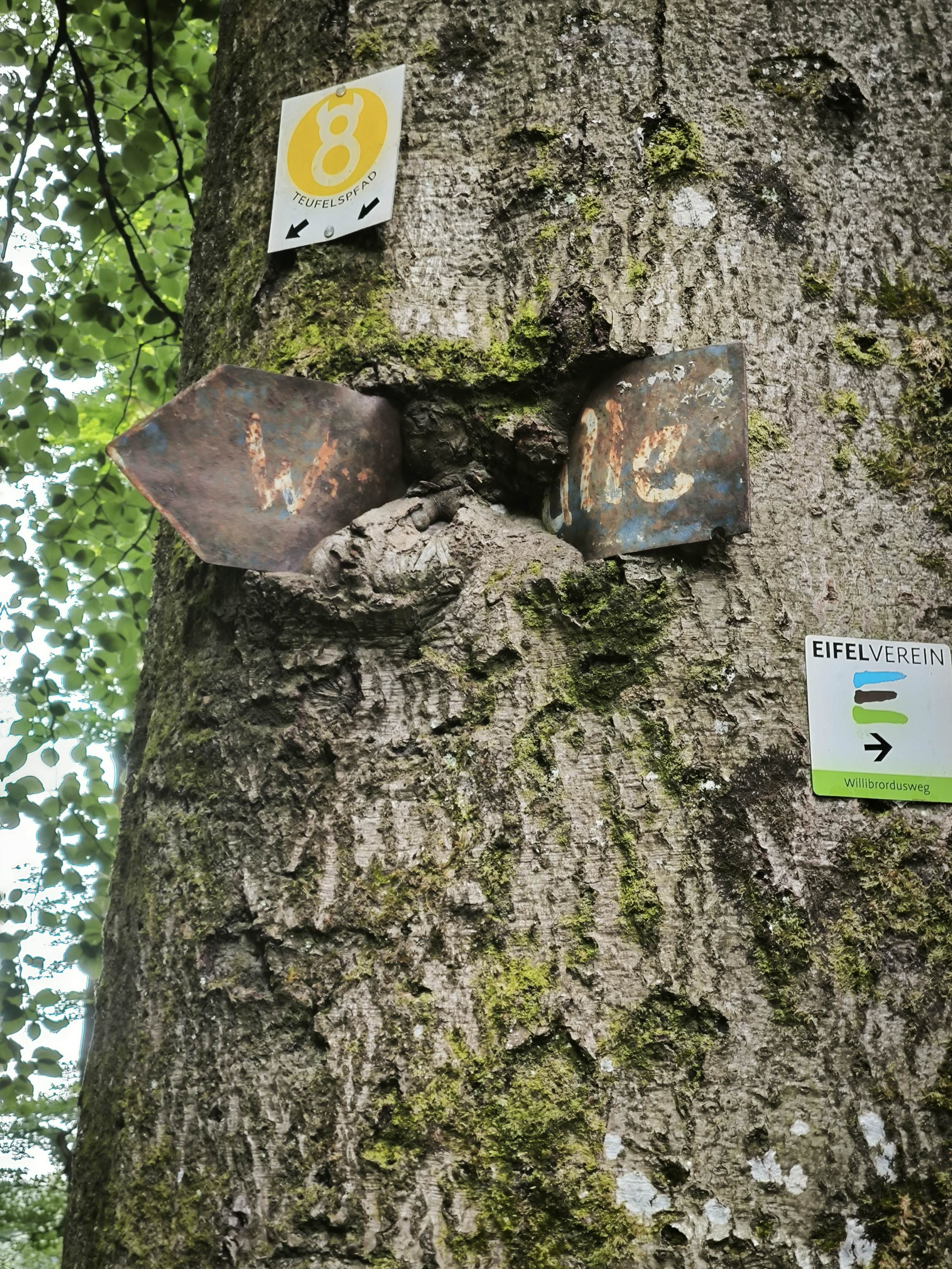 Kann man nicht mehr allzu gut lesen... 👀 'Wasserfälle'