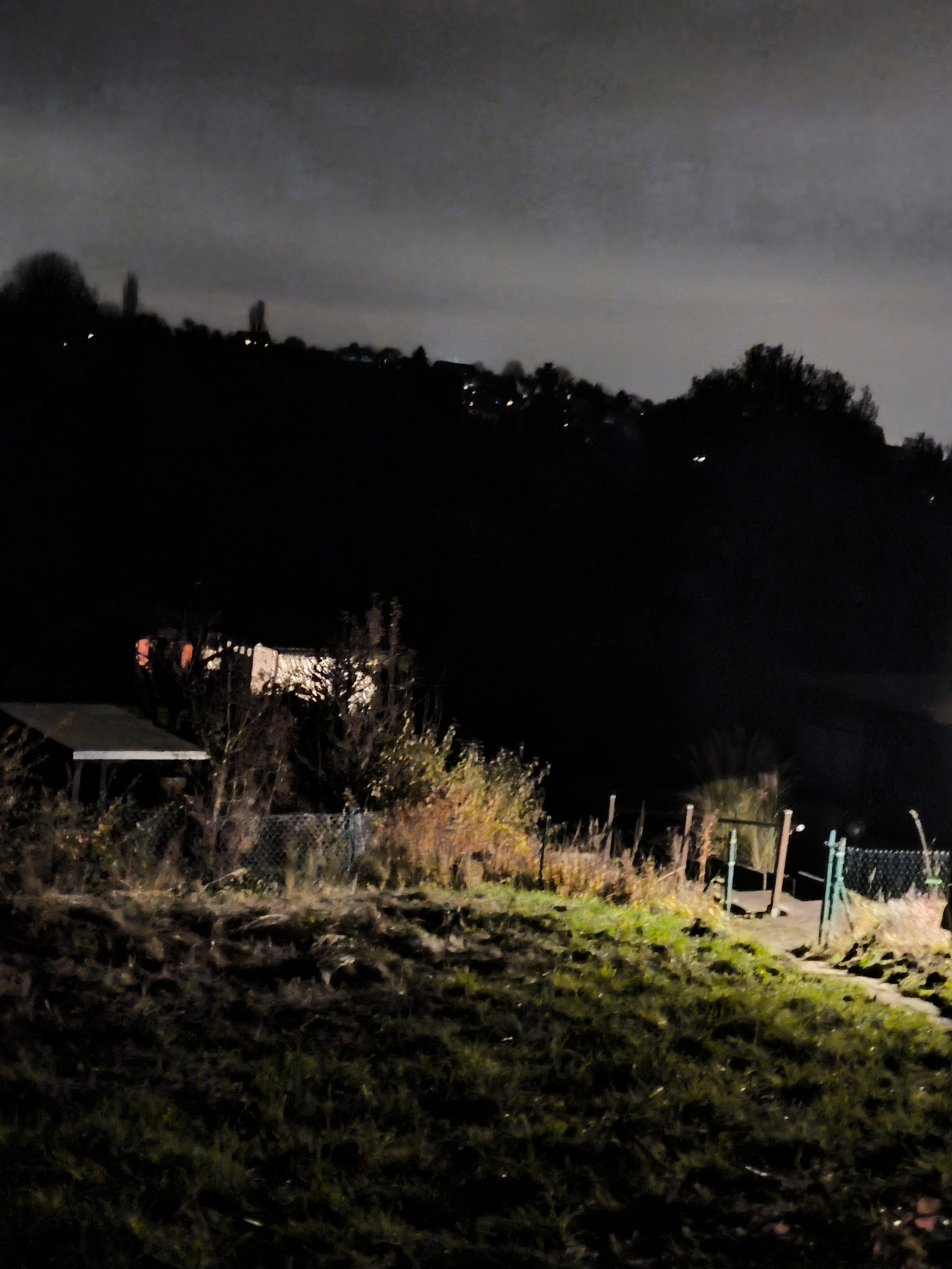 Blick auf die Gärten. Ganz hinten, das orangene Licht ist unser Garten.