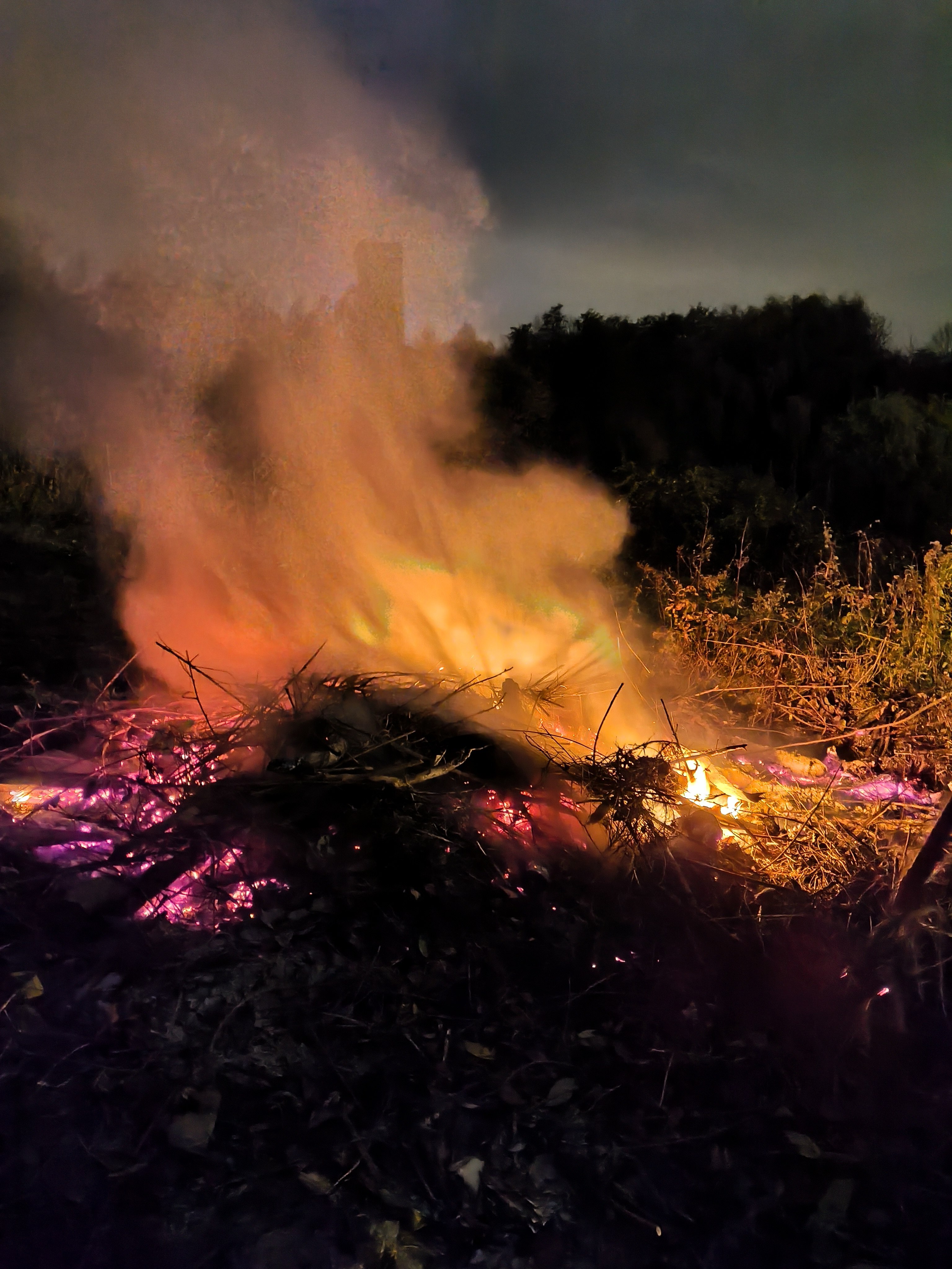 Im Hintergrund der Turm von Mystery Castle (Phantasialand)