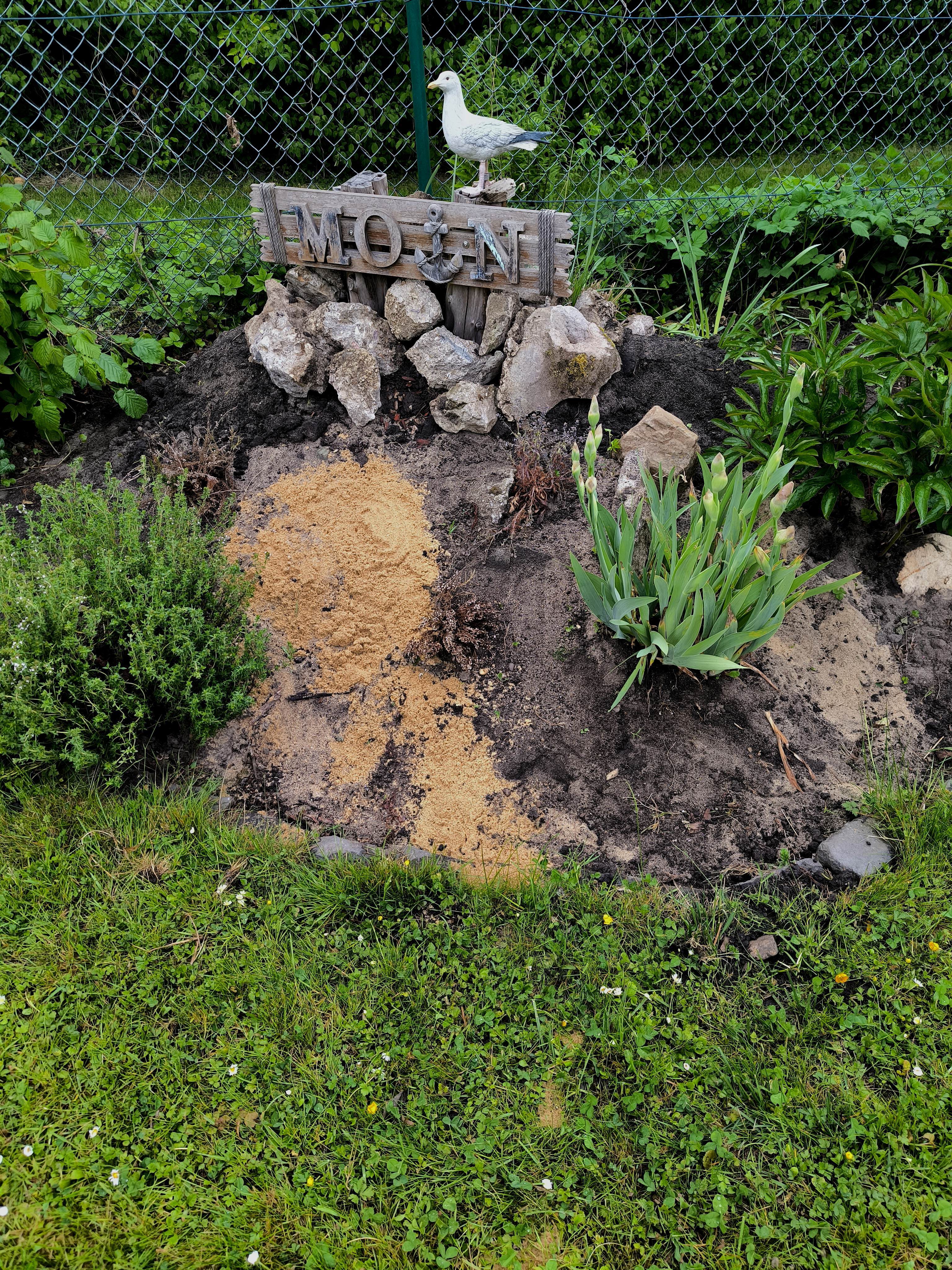 Update für die Heide