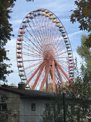 🎡