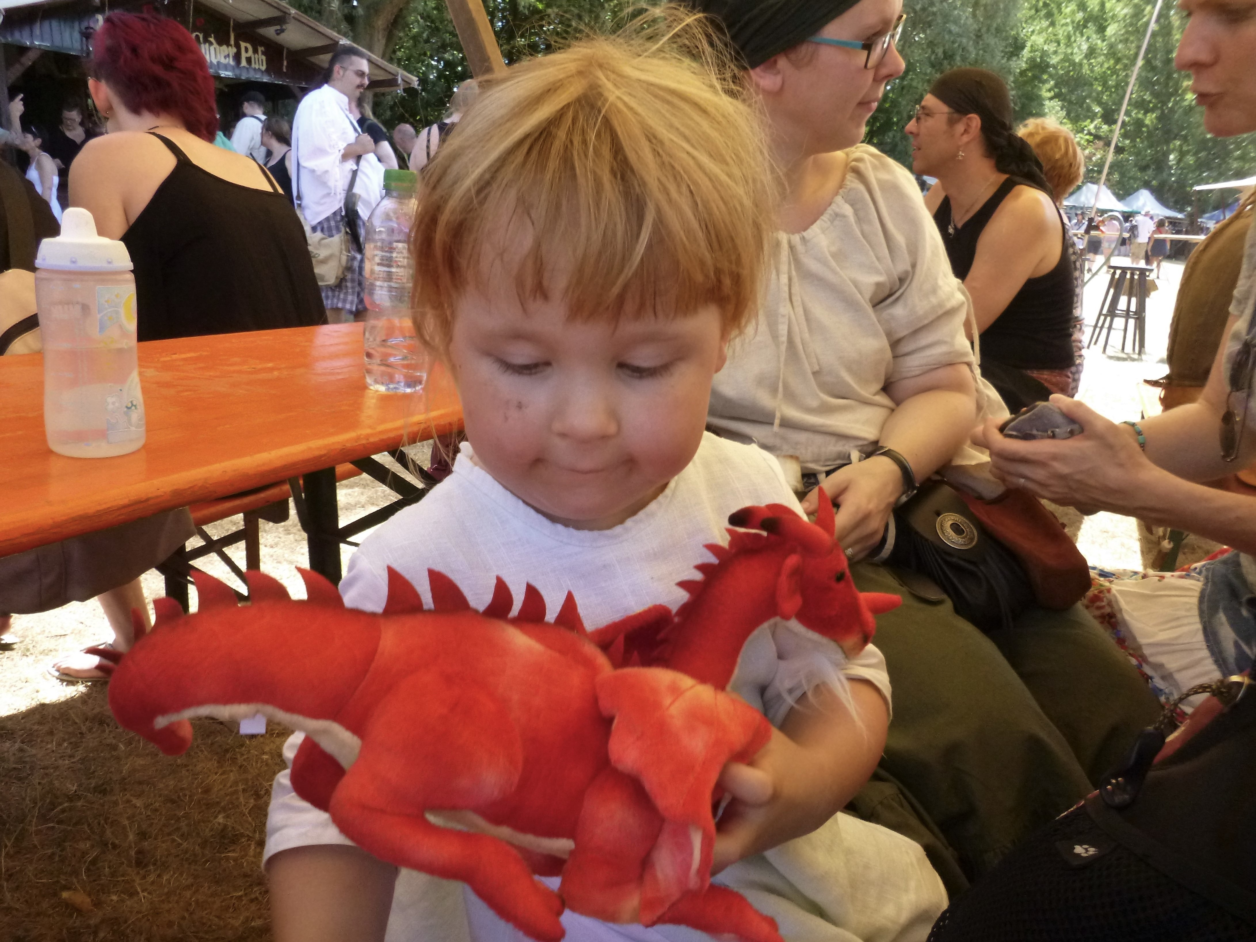 Ronja und ihr neuer Drache