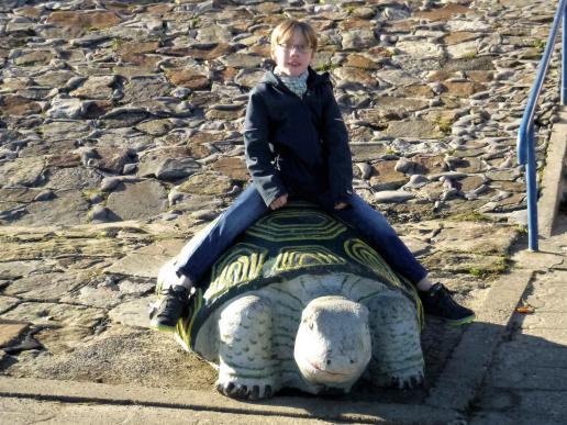 Schildkröten-Shooting 1