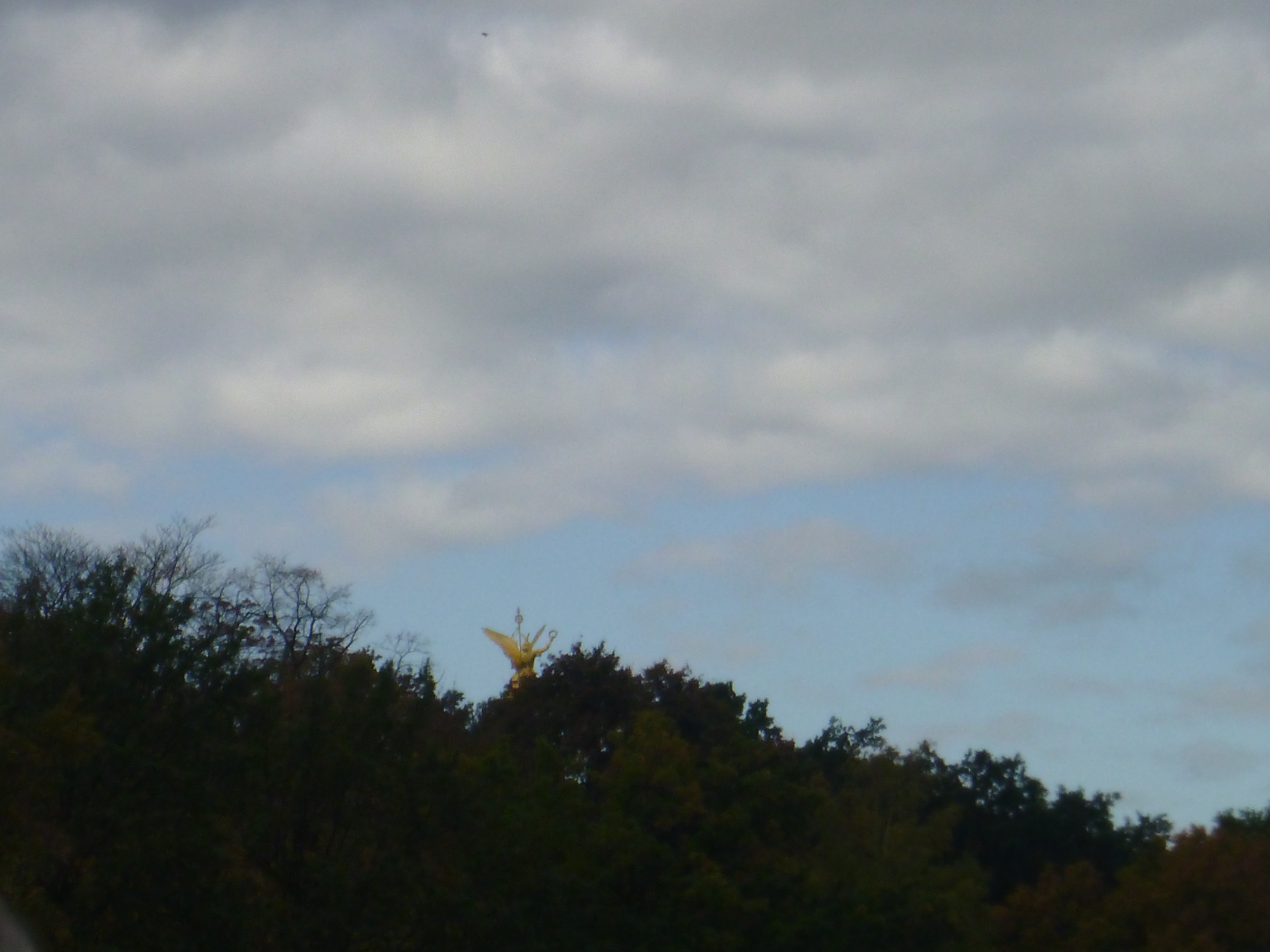 Da lugt die Goldene Else hervor... 